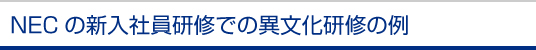 NECの新入社員研修での異文化研修の例